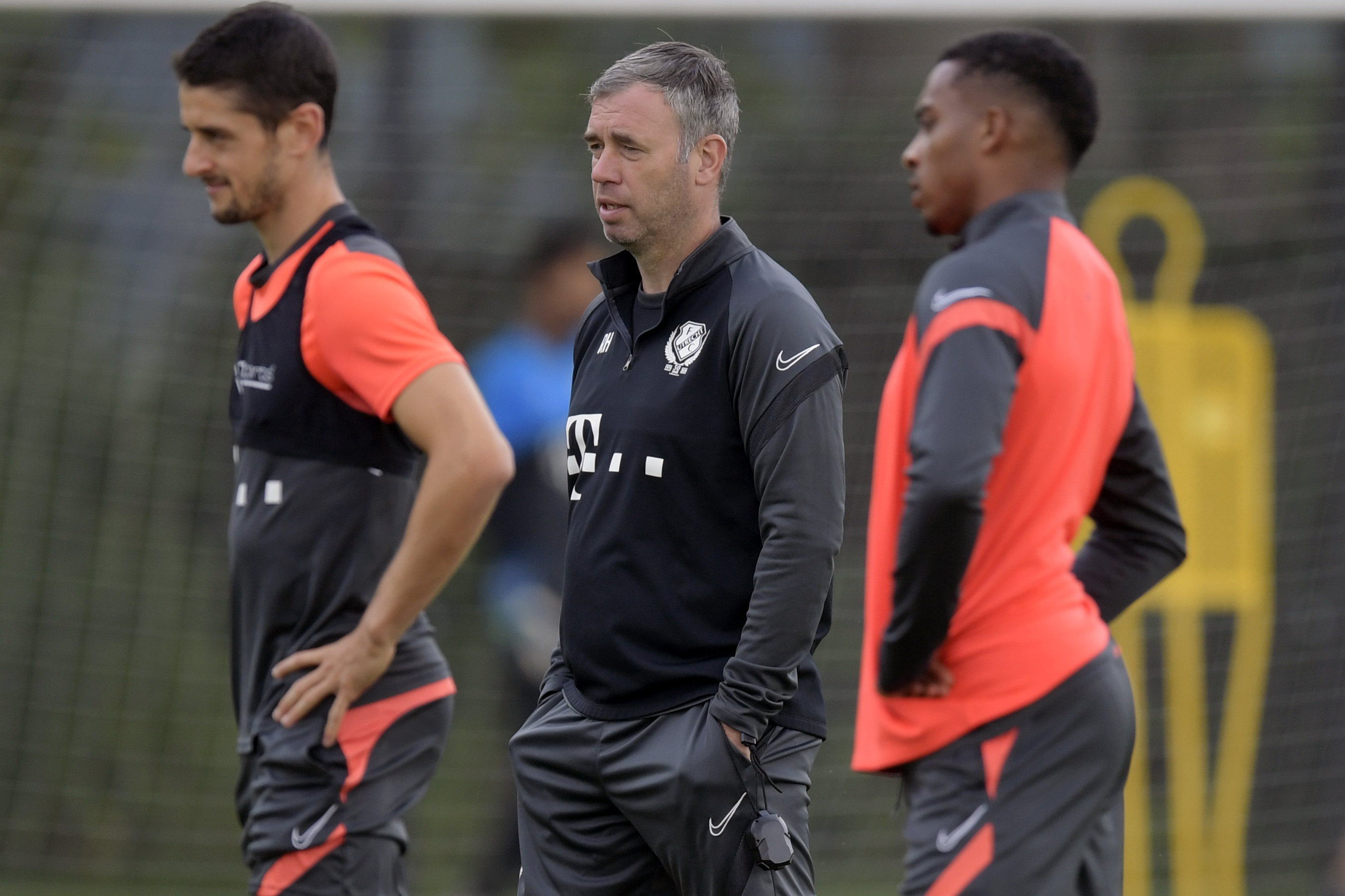 Dalmau, Hake, Quinten