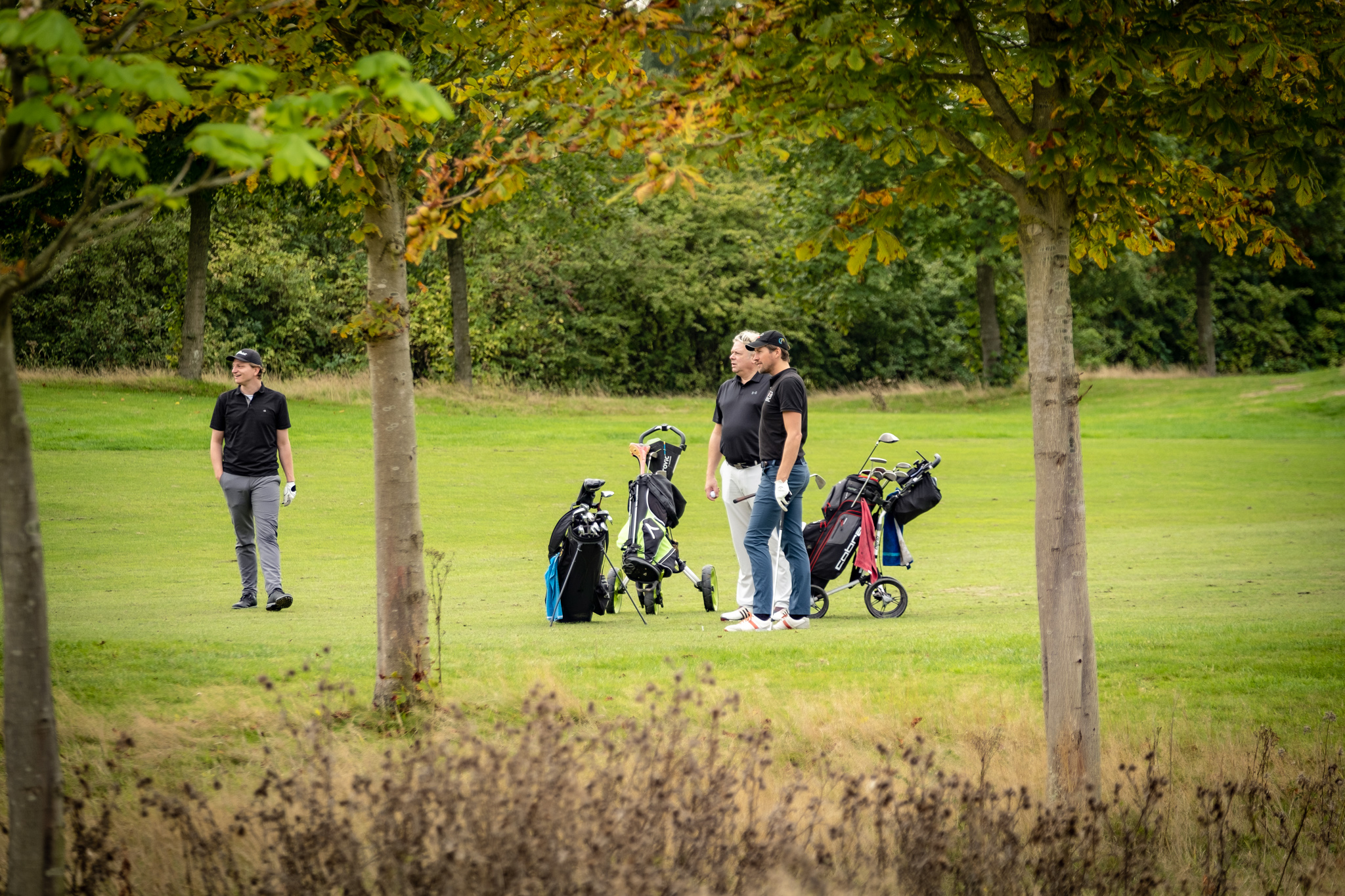 Een dag om in te lijsten