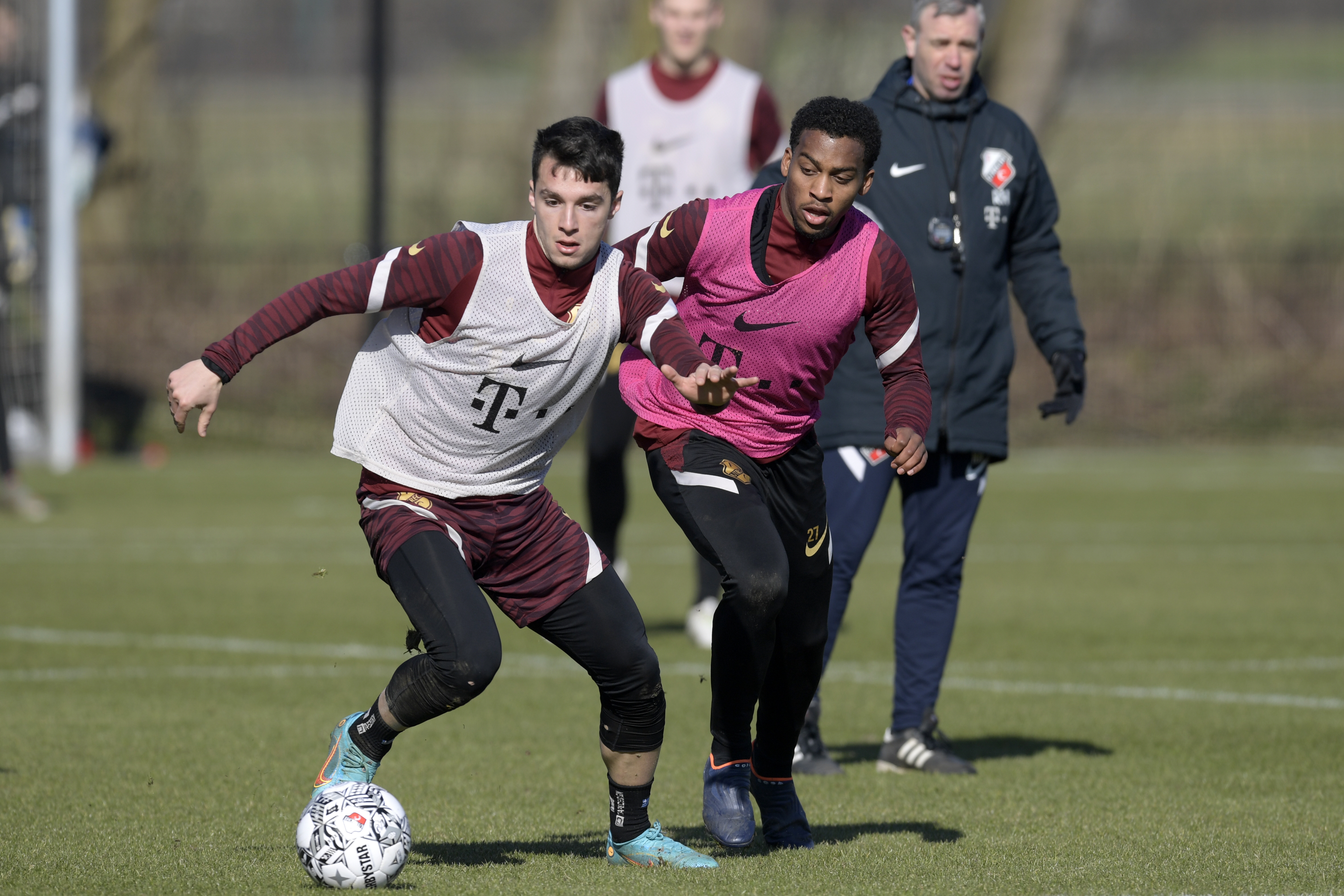 Douvikas, Timber, Hake