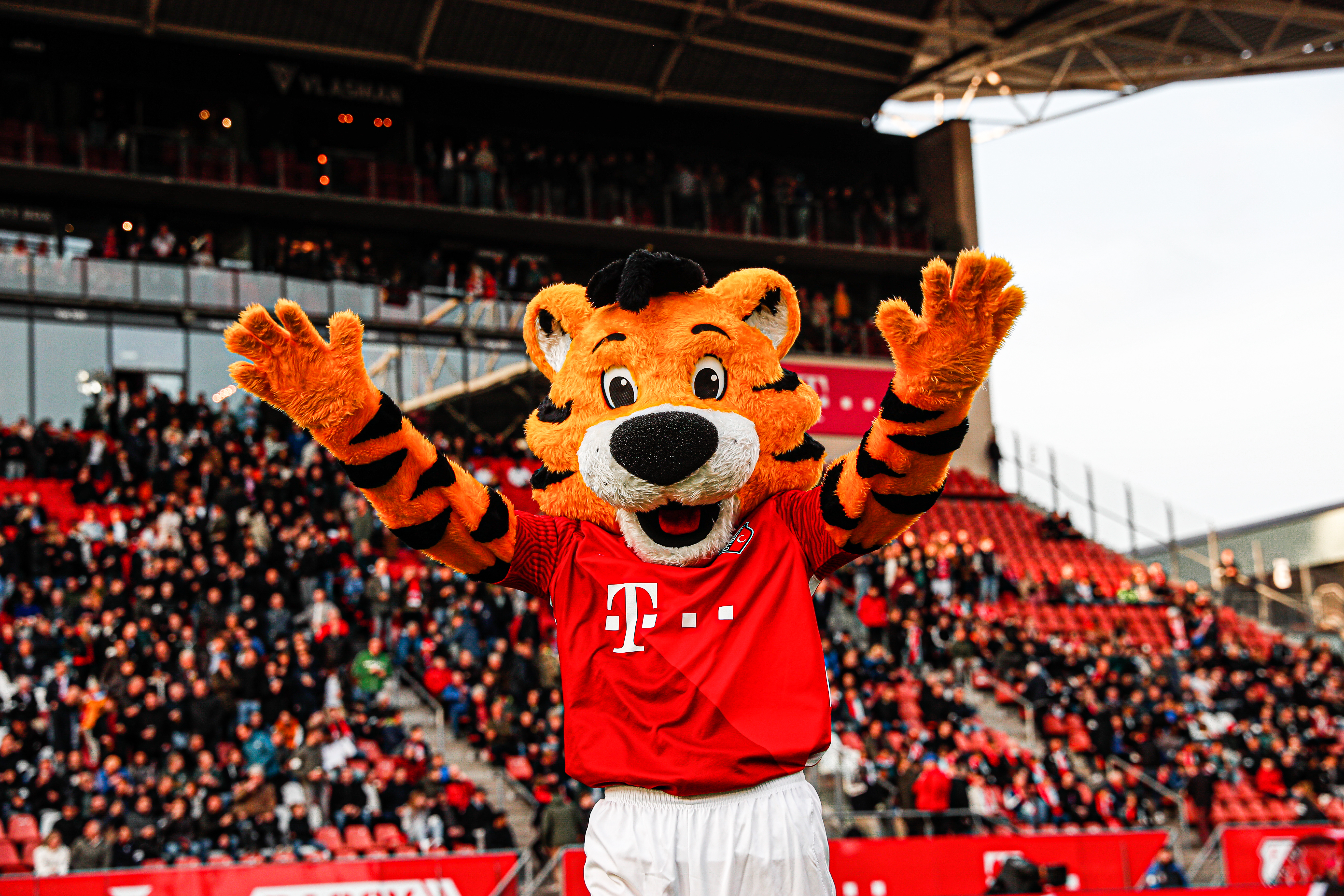 Een seizoen vol avonturen met Junior Tigers