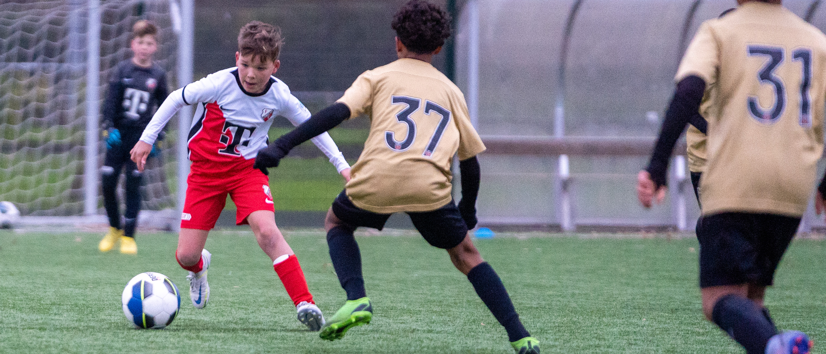 De agenda van de Academie: week 50