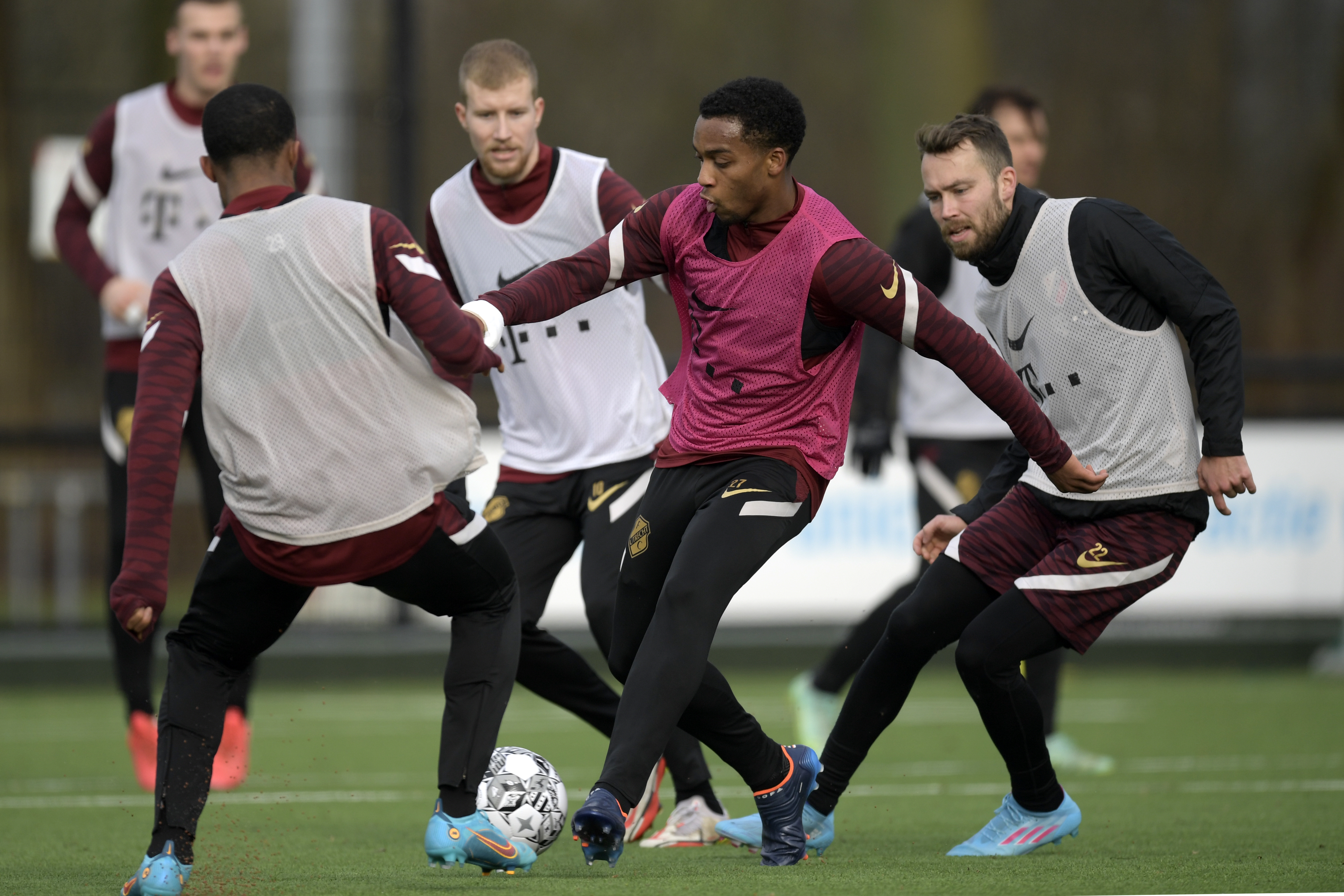 Sylla, Timber, Vd Streek