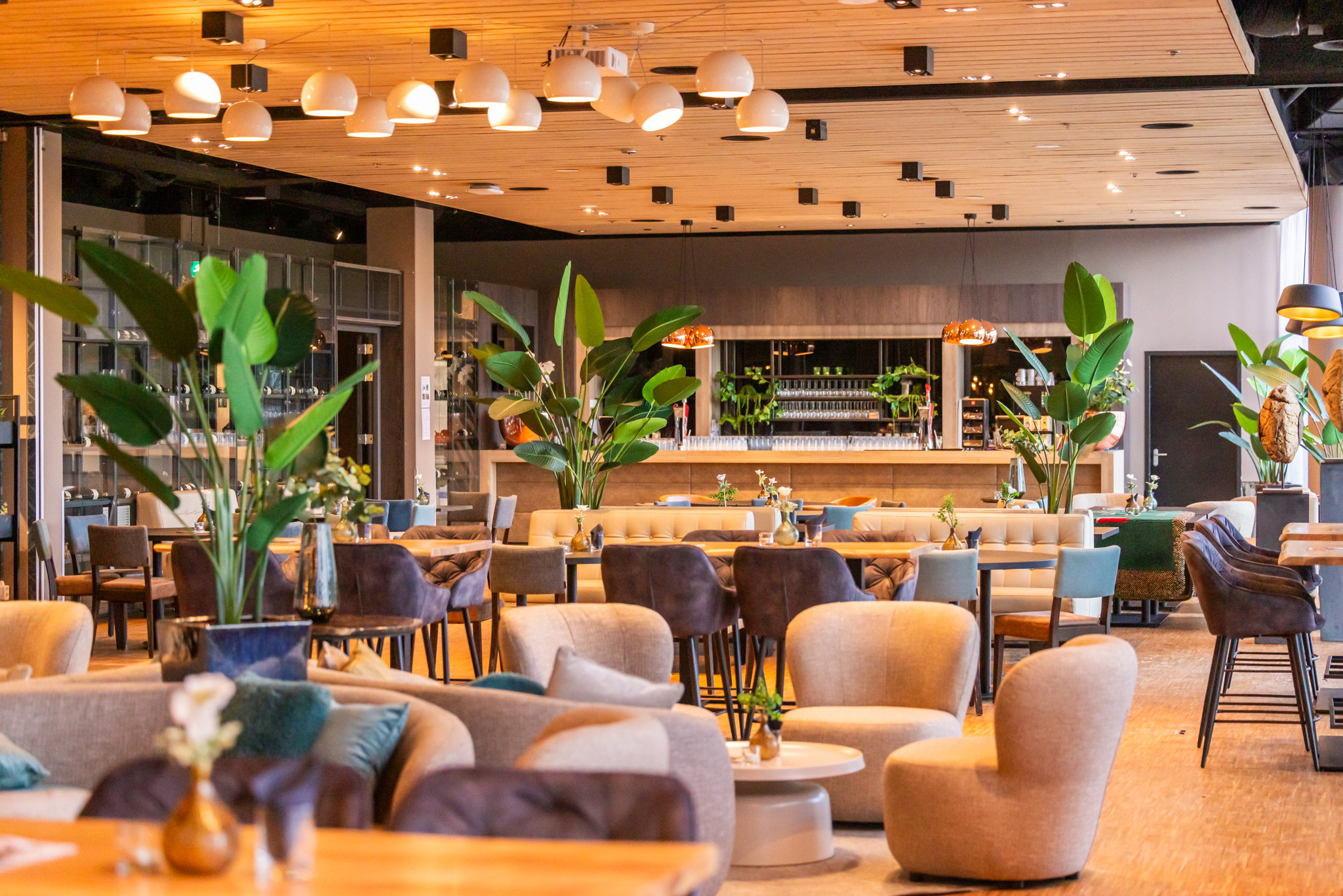 230903 100208 FCU R51 0824 2048Px